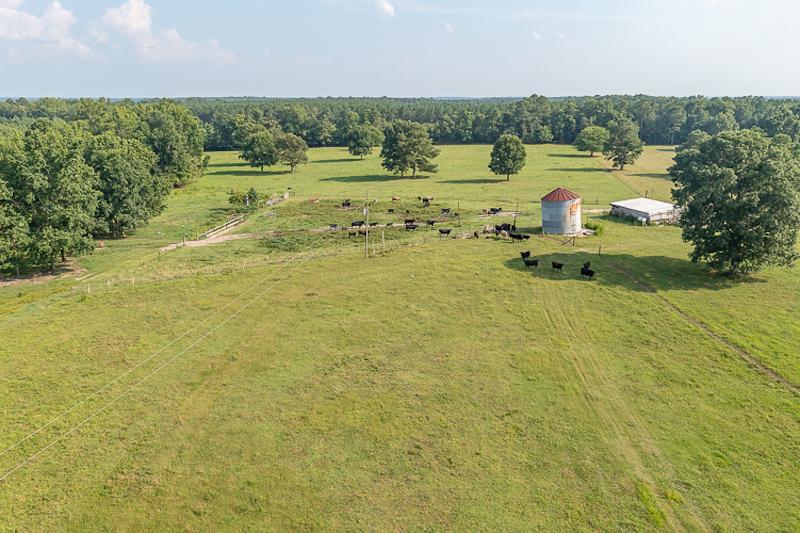 Capron, VA 70 acres Land and Farms Realty